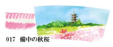 No.017 備中の秋桜